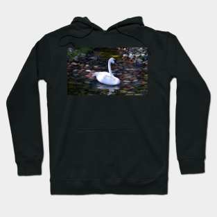 Swan Hoodie